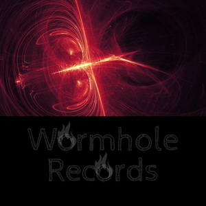 welcome to Wormhole Records