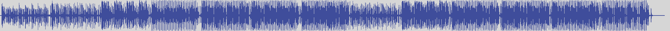 nf_boyz_records [NFY034] Klimt - Type [Deephouse Mix] audio wave form